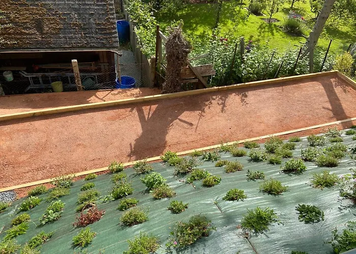 Des Chardons Holiday home *